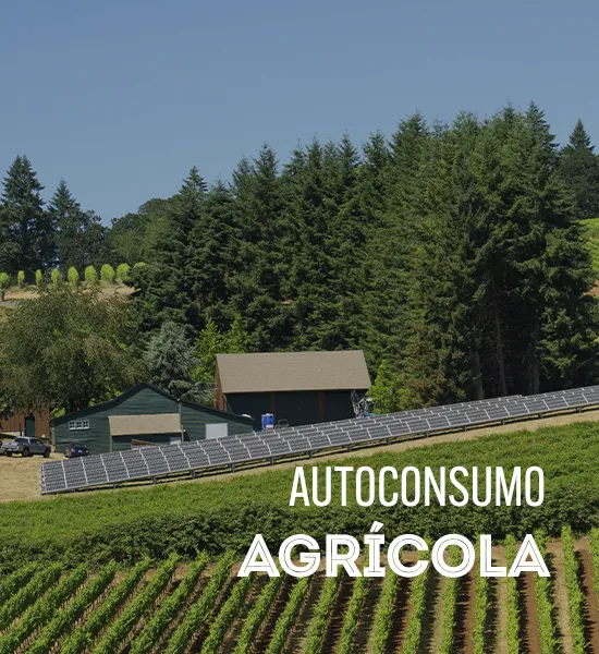 Autoconsumo Agrícola